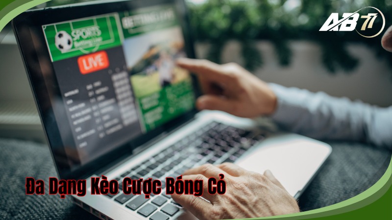 Có đa dạng các loại kèo cược bóng cỏ để người chơi lựa chọn