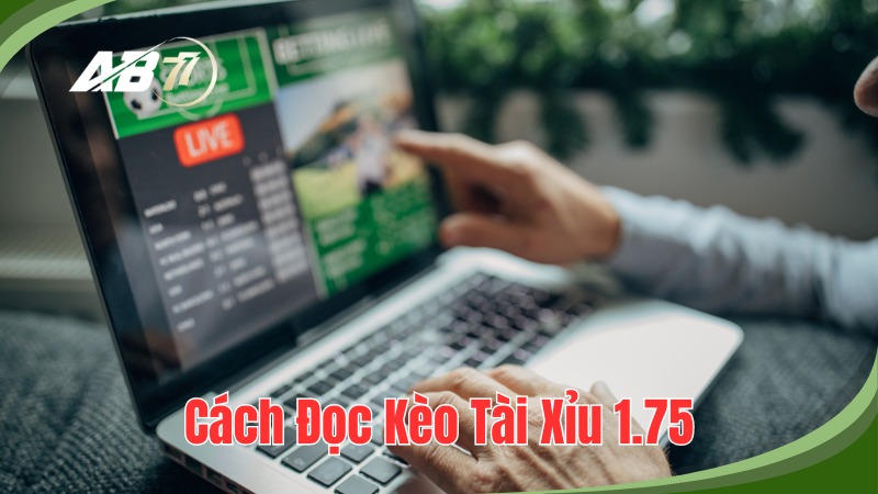 Hiểu rõ cách đọc kèo để đưa ra dự đoán cho kèo cược 2.25